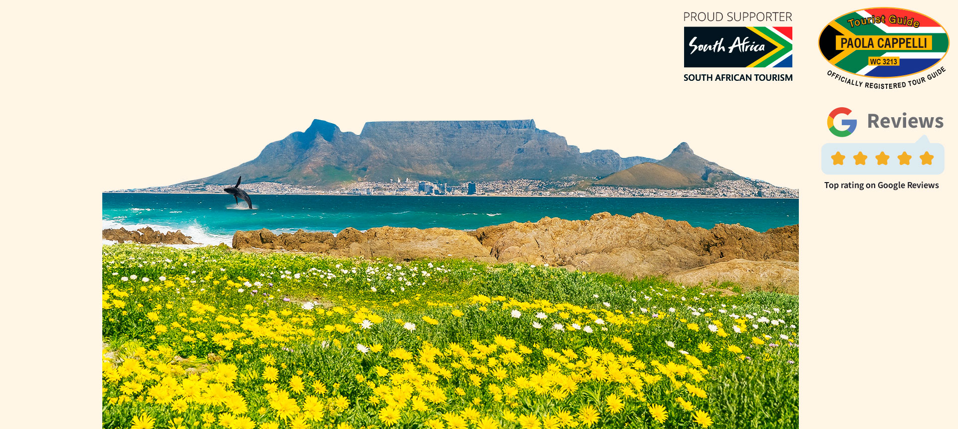 Cape Town scenic landscape