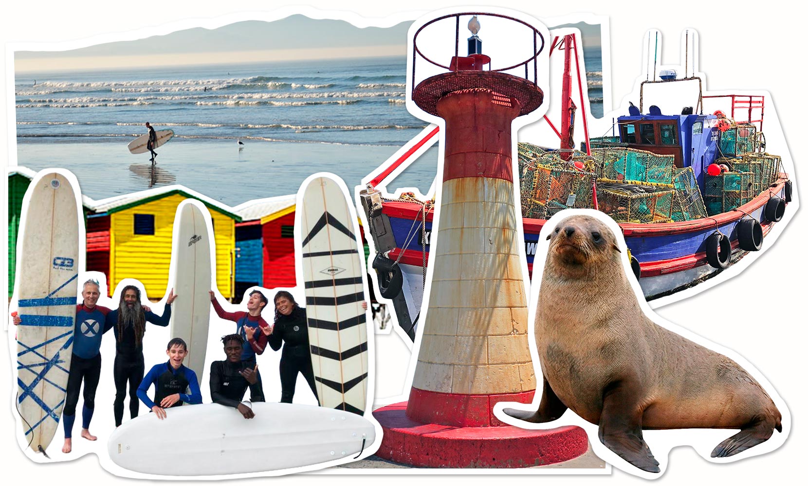False Bay Tour